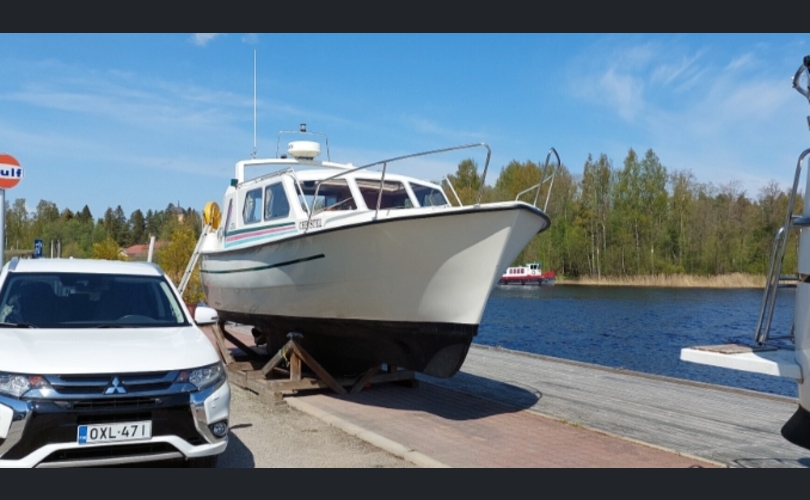 Albatross Flying 871-kuva-4